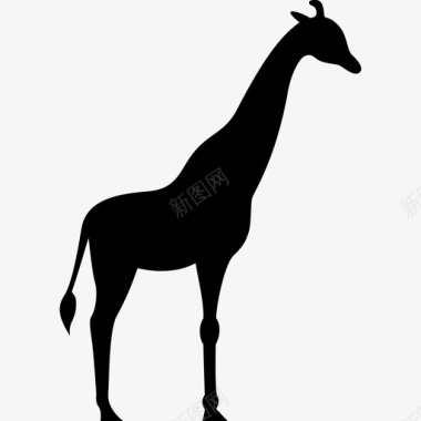 长颈鹿面朝右动物动物的轮廓图标图标