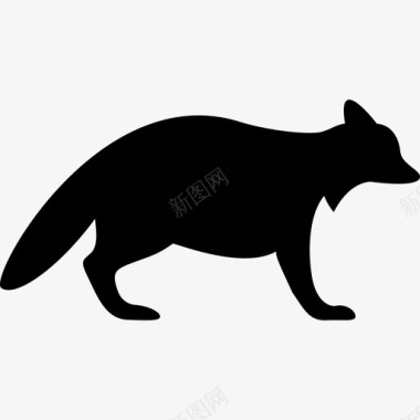 浣熊面朝右动物动物的轮廓图标图标