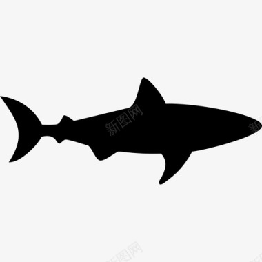 鲨鱼面朝右动物动物的轮廓图标图标