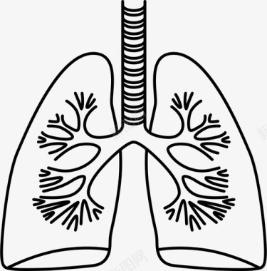 肺生物身体图标图标