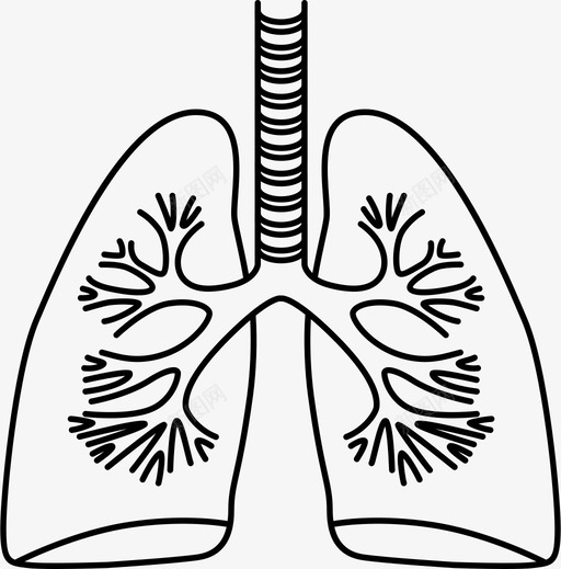 肺生物身体图标svg_新图网 https://ixintu.com 呼吸 器官 生物 肺 身体