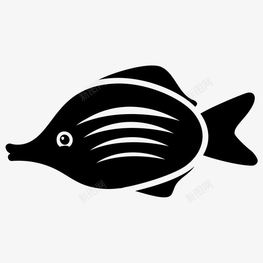 水鱼淡水鱼热带鱼图标svg_新图网 https://ixintu.com 水鱼 淡水鱼 热带鱼 鱼字形图标