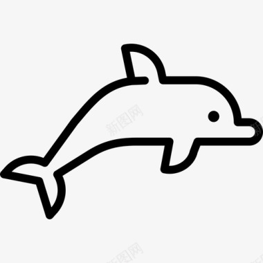 大海豚动物在海里图标图标