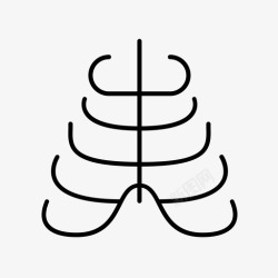 人肋骨肋骨解剖存在图标高清图片