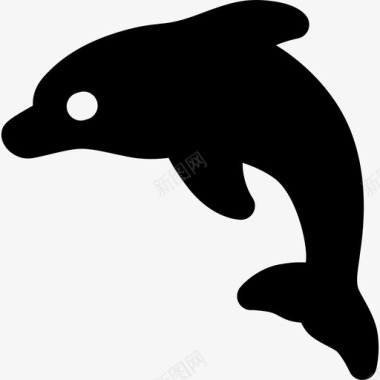 海豚动物生态友好型图标图标