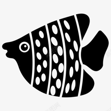 铁饼水生鱼淡水鱼图标图标