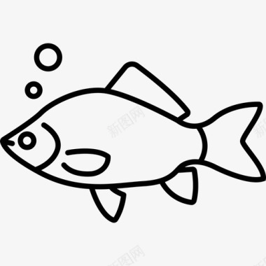 有气泡的鱼动物水图标图标