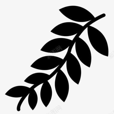 叶绿色月桂图标图标