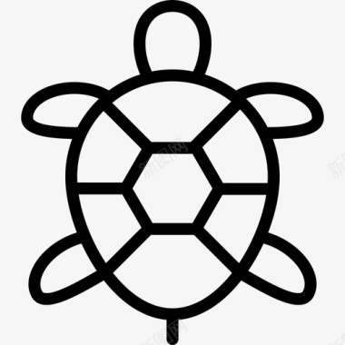 海龟宠物店直系动物图标图标