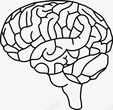 大脑生物身体图标图标