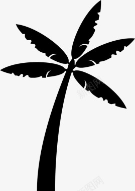 棕榈树生长植物图标图标