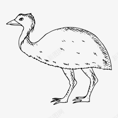 鸵鸟动物澳大利亚图标图标