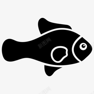 琉球金鱼水生鱼淡水鱼图标图标