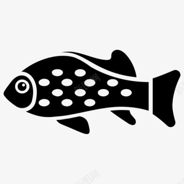 鸭嘴鱼水生鱼淡水鱼图标图标