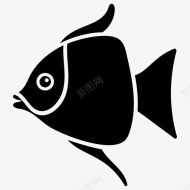 神仙鱼水生鱼淡水鱼图标图标