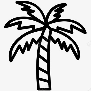 棕榈树枣树岛树图标图标