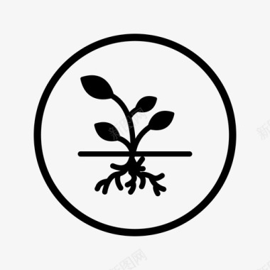 根圆植物图标图标