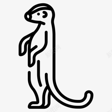 猫鼬蜥蜴野生动物图标图标