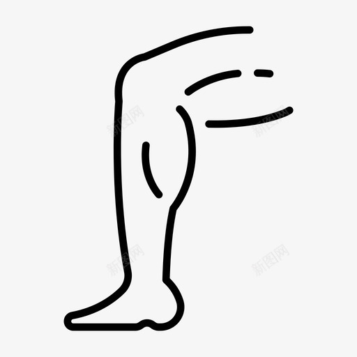 腿部肌肉解剖学健身图标svg_新图网 https://ixintu.com 健身 腿部肌肉 解剖学