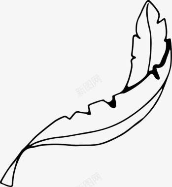羽毛空气鸟图标图标