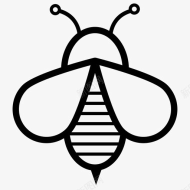 蜜蜂虫子蜂蜜图标图标