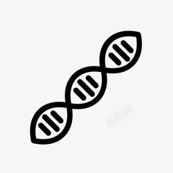 基因组成dna基因组组成图标高清图片
