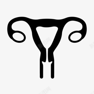 子宫解剖学身体图标图标