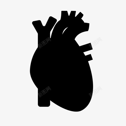人体心脏解剖学心脏病学图标svg_新图网 https://ixintu.com 人体心脏 保健 器官 心脏病学 心血管 解剖学