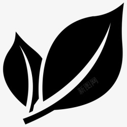 两片粽叶二分叶绿叶两片叶图标高清图片