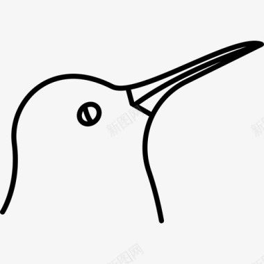 鸟自然鸟类物种图标图标