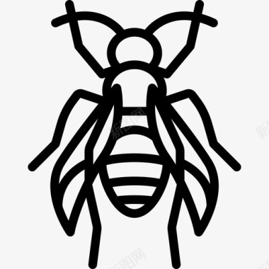 蜜蜂昆虫直系图标图标