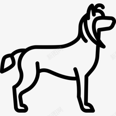 中国冠狗品种全身直系图标图标