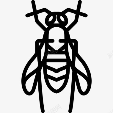 黄蜂昆虫直系图标图标