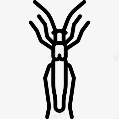 码头蛀虫昆虫线状图标图标