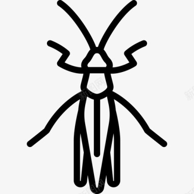 蚱蜢昆虫线状图标图标