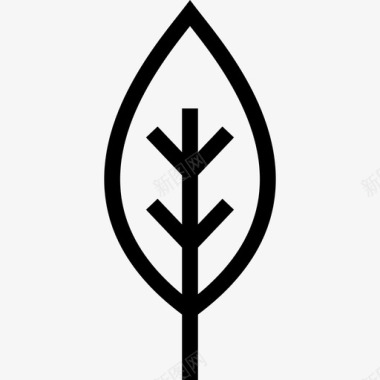 桦树花和叶线形图标图标