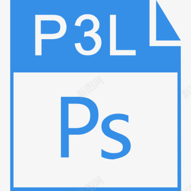 p3l图标