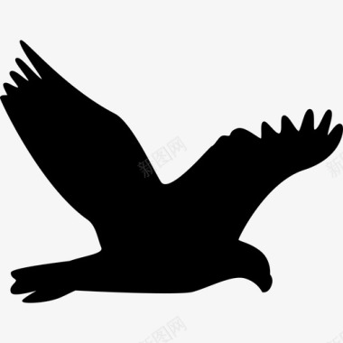 鹰动物鸟的轮廓图标图标