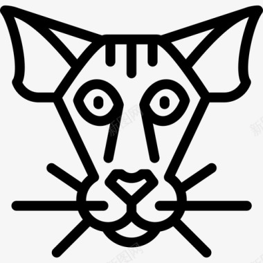 彼得堡猫猫品种直系图标图标