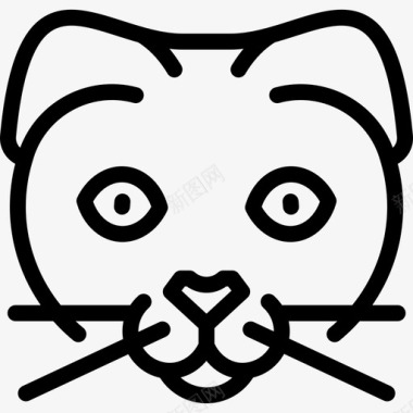 苏格兰折叠猫猫品种直系图标图标