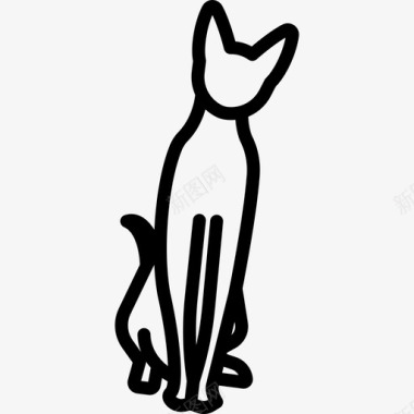 彼得堡猫动物猫的繁殖体图标图标