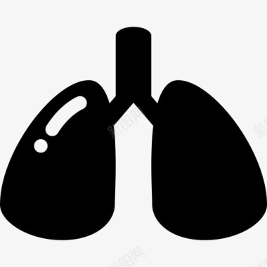 肺医学人体固体图标图标