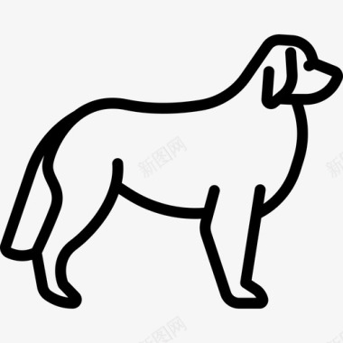 伯尔尼山犬种丰满直系图标图标