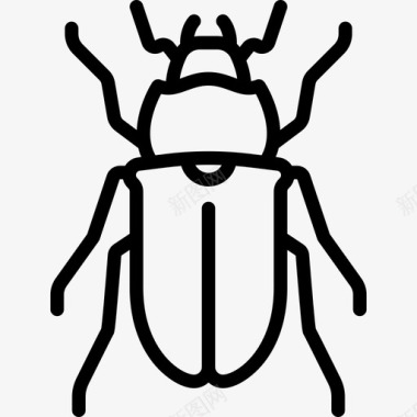 鹿甲虫昆虫直系图标图标