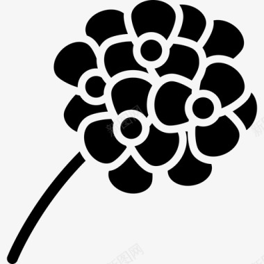 花自然花的种类图标图标