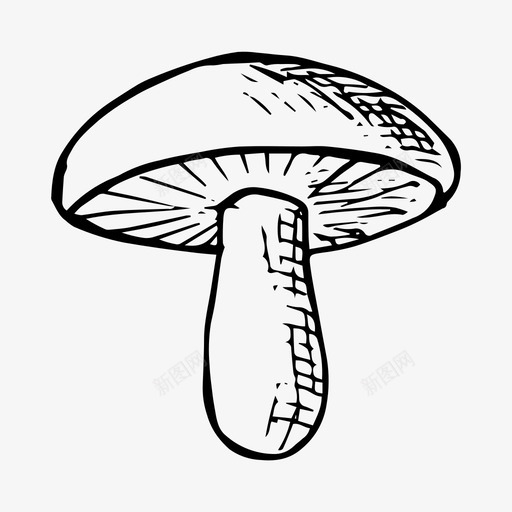 蘑菇秋天食物图标svg_新图网 https://ixintu.com 森林 秋天 秋收 自然 蘑菇 食物