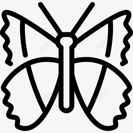 豹纹蝶蝴蝶1线形图标svg_新图网 https://ixintu.com 线形 蝴蝶1 豹纹蝶