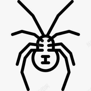 蜘蛛黑寡妇昆虫直系图标图标