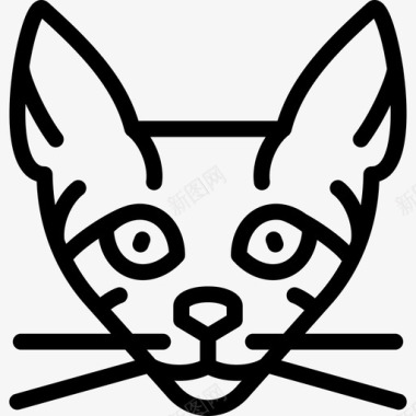 塞伦盖蒂猫猫品种直系图标图标