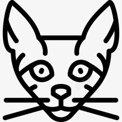塞伦盖蒂塞伦盖蒂猫猫品种直系图标高清图片